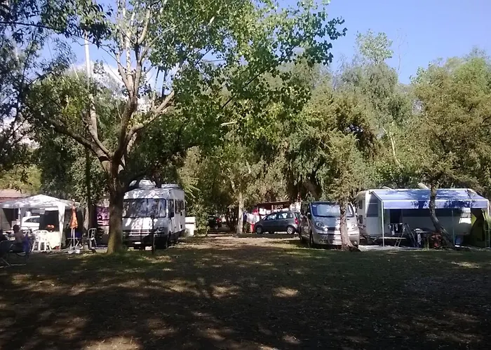 Hotel adatto agli animali: Camping Ulisse Calabria