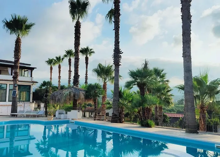 Hotel Con Piscina Palm House