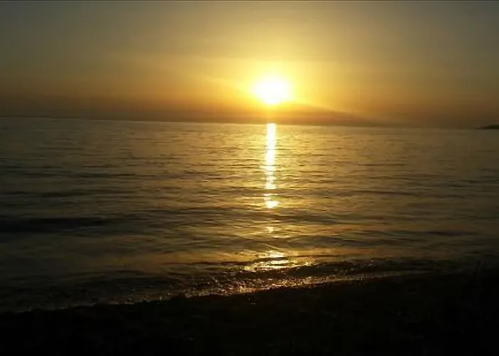 Hotel adatto agli animali: Camping Ulisse Calabria